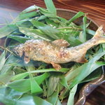 四万十川天然鮎の塩焼き