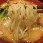 龍府 - 多加水麺、普通にうまし