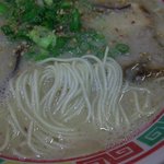 九州ラーメン　あばかん - 麺のアップ（２０１０年８月）