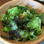 サコダノサクラ - 