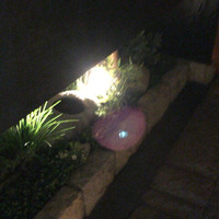 和牛懐石 但馬屋 梅田 - 