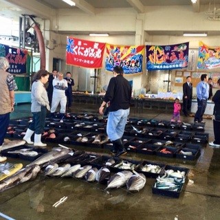 市場で競り落とす地魚など、沖縄本島北部の豊かな食材が満載