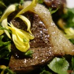 くまさん食べるぞ！