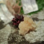 手打ち蕎麦 ほかげ - 〆鯖（宮城）ズームアップ