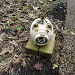 とらや工房 - 豚さん