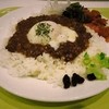 インド式カレー 夢民 ダイバーシティ東京プラザ店