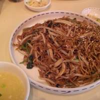 潮夢来 - 