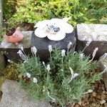 prato cafe - Prato cafe 2010.6