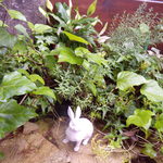 prato cafe - Prato cafe 2011.6