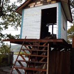 prato cafe - Prato cafe 2011.11ツリーハウスは、まだ工事中でした。