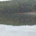 prato cafe - Prato cafe 2011.11