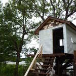 prato cafe - Prato cafe 2012.5ツリーハウスは、まだ工事中でした。