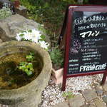 prato cafe - Prato cafe 2012.6