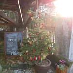 prato cafe - Prato cafe 2012.12