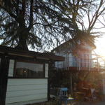 prato cafe - Prato cafe 2013.1