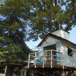 prato cafe - Prato cafe 2013.6