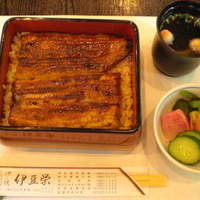 鰻割烹 伊豆栄 梅川亭 - 鰻重…梅（￥２．８３５－）