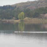 prato cafe - ツリーハウスからの風景　2014.4