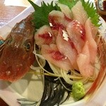 Sashimi Izakaya Wasshoi - ホウボウ姿造り700円