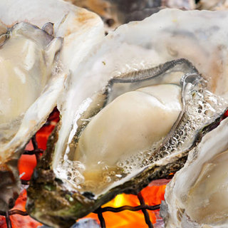 Enjoy all-you Oyster can-eat ``grilled Oyster'' and ``steamed Oyster'' to fill your stomach!