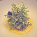 ボニュ - 自然～太陽・空・土・ハーブ～