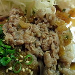 洋食エリーゼ - 肉の脂におろしポン酢がさっぱりと合う