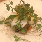 石堂橋 白つぐ - アオリイカ