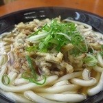 三角茶屋豊吉うどん - ごぼううどん