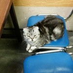 お好み焼 山田屋 - 