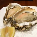 Oyster Ocean Area - 