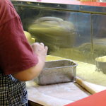 餃子の店 蘭州 - おかあさんの見事な手さばき