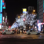 壽山 - 12月のススキノ