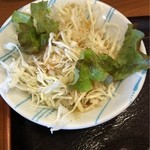Shunsai Hoshi - サラダ