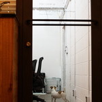 新人さんだそうで