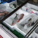 炭卯商店 - お魚色々