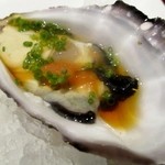 タスマニアの牡蠣