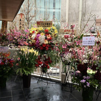 うなぎ藤田 白金台店 - 