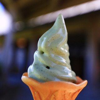 フレッシュしおかぜの里_1