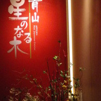 青山 星のなる木 - 