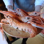 Restaurant Satoshi.F - 三河湾の巨大な赤座海老（いわゆるランゴスチーヌ）