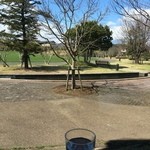 カフェ ブラウン - 