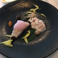コンヴィヴィアリテ - 