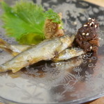 佳肴みを木 - 稚鮎と２種の味噌