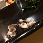 寿し処 寿々 - 鳥貝