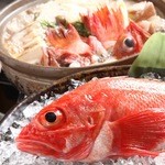 なごみや一夜 - キンキ鍋