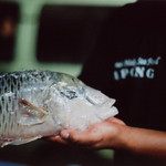 Apong Seafood Restaurant - 