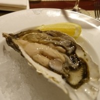 コントワール ミサゴ - 