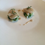 エルルカン・ビス - 