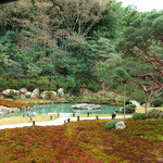 Shourenimmonzeki - 相阿弥の庭。室町時代の相阿弥作庭