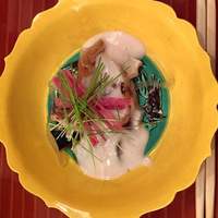 お料理 ふじ原 - てっさとゆびきのまりね